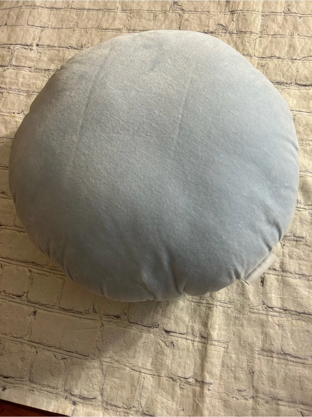ETTA VEE BLUE VELVET WITH GREEN BRAIDED LIKE ACCENT ROUND WHIMSICAL THROW PILLOW